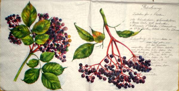 026 Beeren (lila) - Ihr